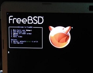 FreeBSD boot splash
