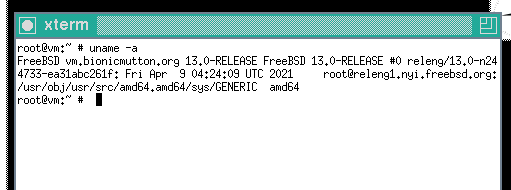 FreeBSD first X11