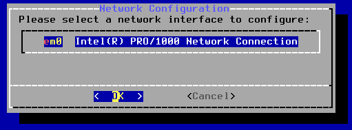 Text-based FreeBSD installation